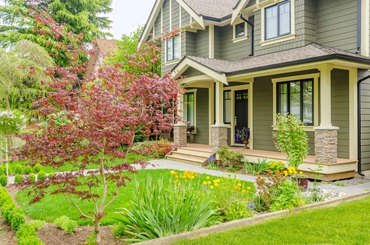 Completed tree and landscaping work by New Look Lawn and Tree
